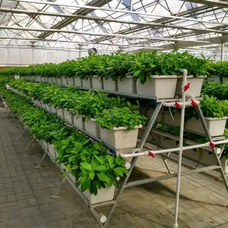 丽水市植物工厂水培设备 - 推荐