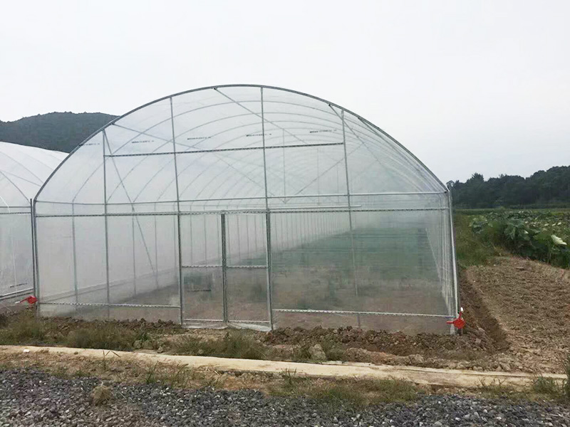 丽水市薄膜大棚植物工厂 - 推荐